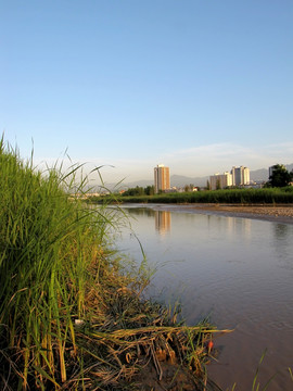 滨河 湿地 公园