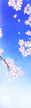 平開門寫真圖櫻花