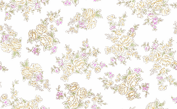 花卉 玫瑰花