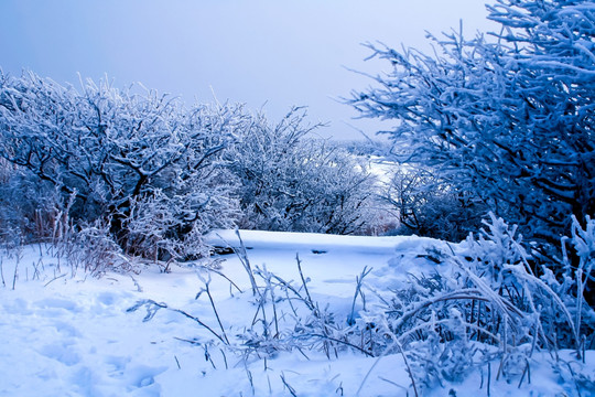 泰山雪景