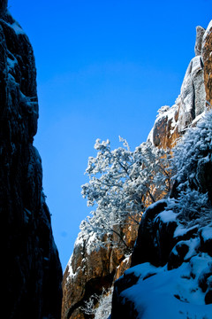 泰山雪景