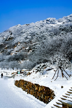 泰山雪景