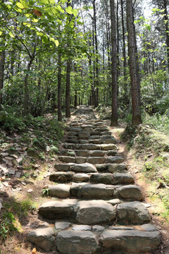 山林登山道