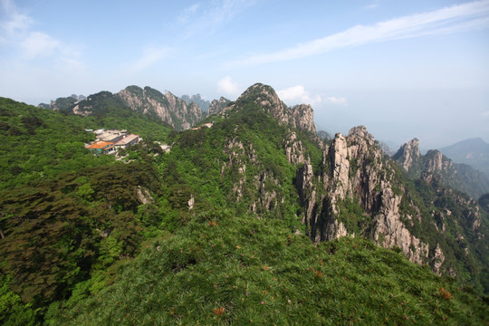 黄山 始信峰 黄山松 松树