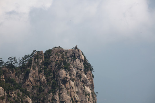 黄山 山 悬崖 峭壁 猴子观海