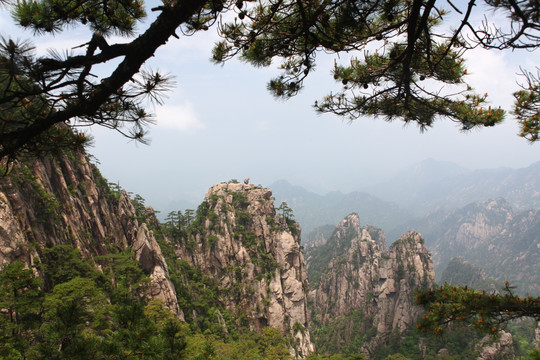 黄山 猴子观海