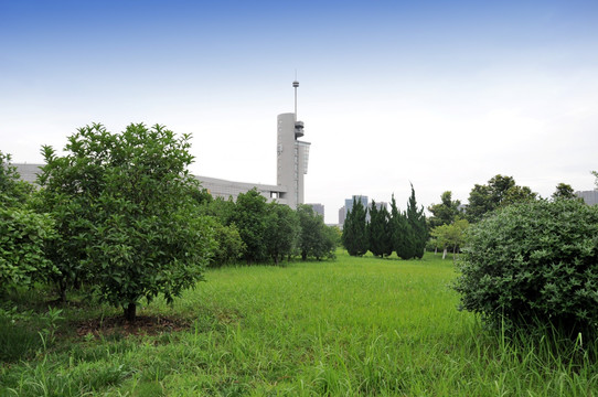 合肥工业大学 合工大图书馆