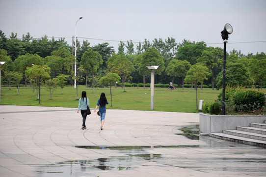 合肥工业大学 合工大校园道路