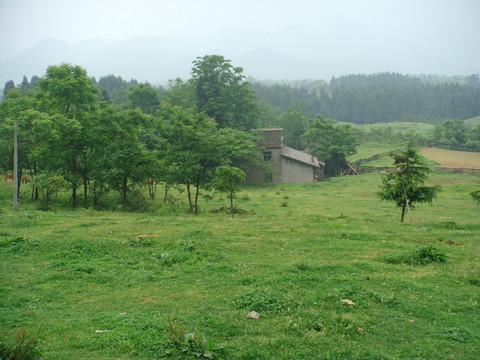 草原