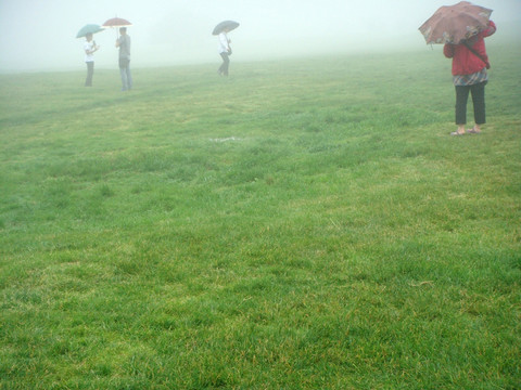 雨中看景