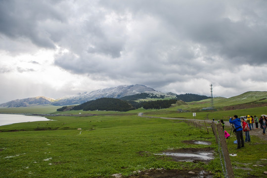 高原牧场