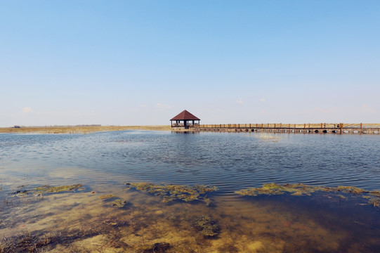 扎龙湿地自然保护区