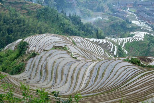 瑶寨梯田