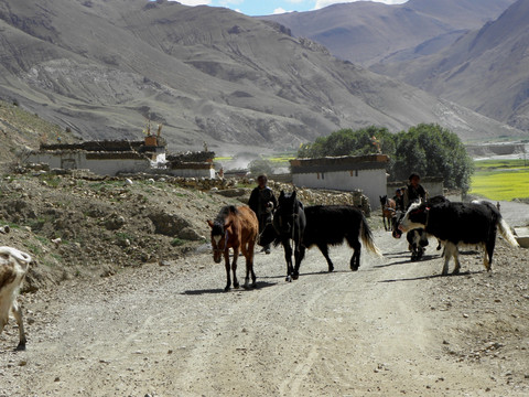 藏族农牧民的生产生活场景