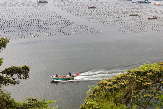 海水养殖场