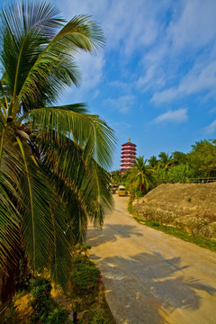 南山寺风光