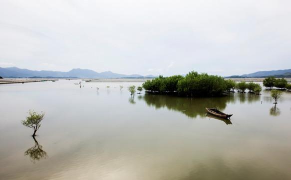 海湾 船