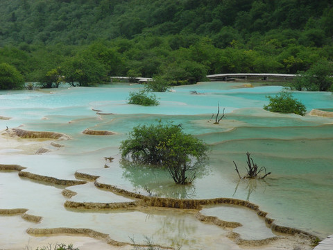 美丽景观