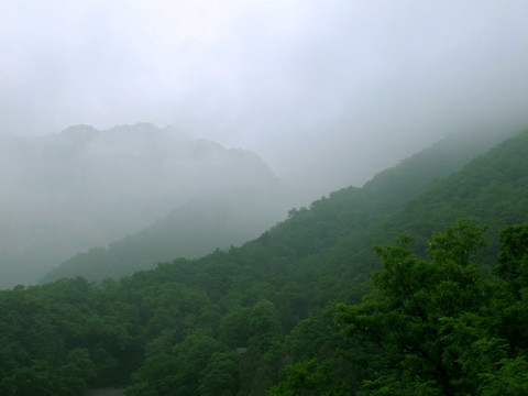 泰山 雾锁泰山