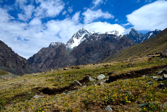 高山牧场