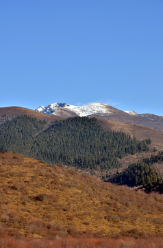 雪山