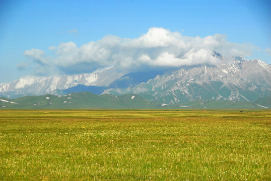 天山牧场