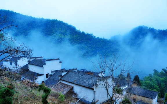 木坑竹海