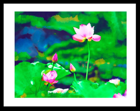 荷花  裝飾畫(huà) 無(wú)框畫(huà) 抽象畫(huà)