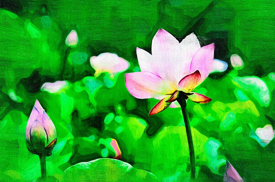 荷花  裝飾畫(huà) 無(wú)框畫(huà) 抽象畫(huà)