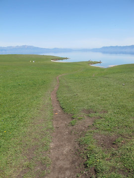 通往赛里木湖的牧道