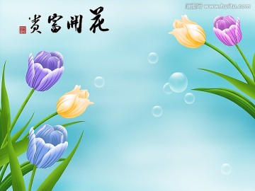 郁金香 高清寫真 電視背景墻
