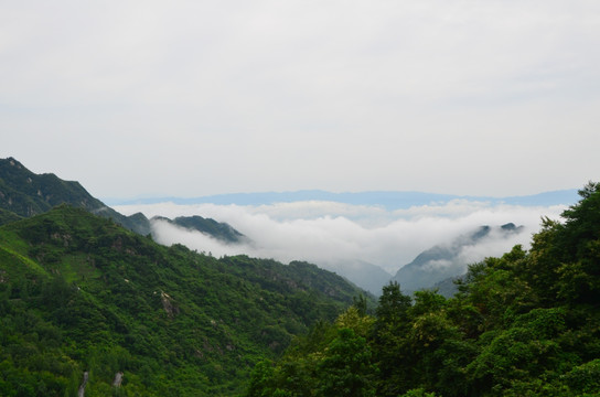 秦岭云海