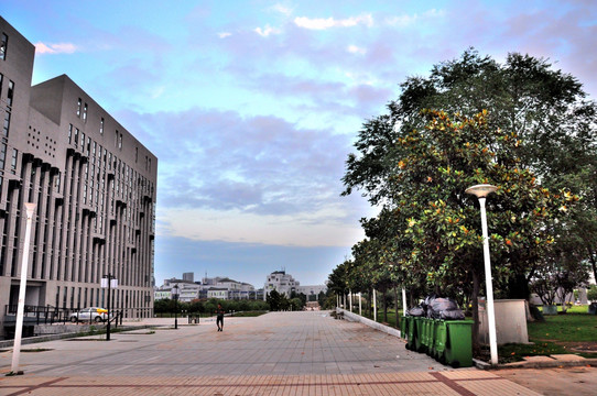 合肥工业大学 合工大校园道路