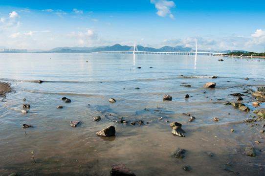 深圳湾公园景色