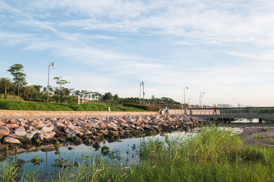 深圳湾公园晨景