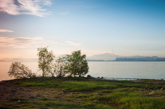 深圳湾公园晨景