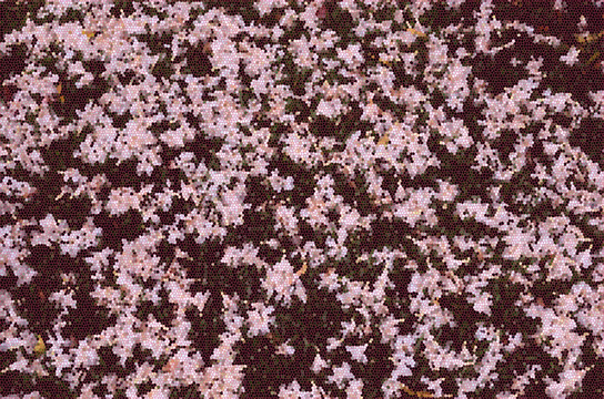 背景花紋素材