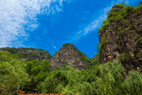 高山丘壑