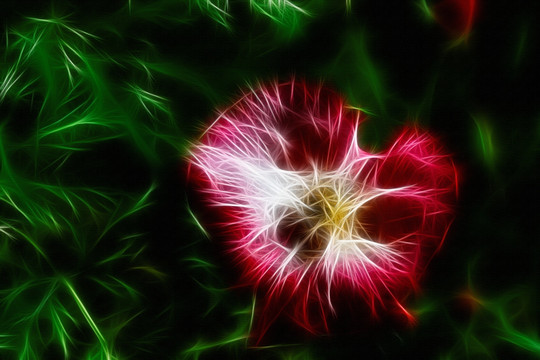 花