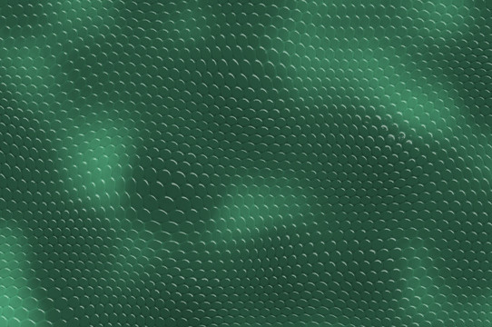 蛇皮紋理