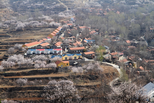 春天的小山村