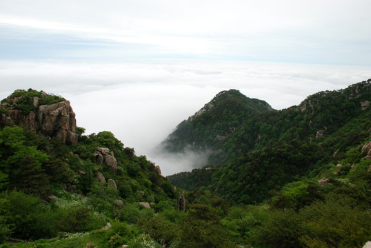 泰山 天空  山脉  云海