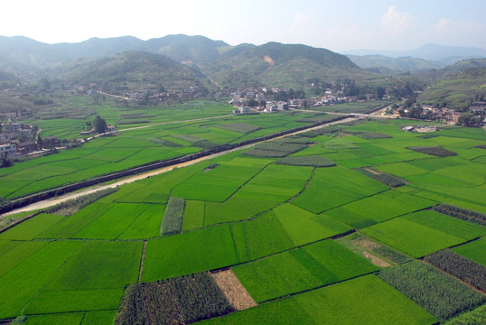 贡米基地