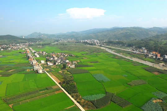 乡镇贡米基地