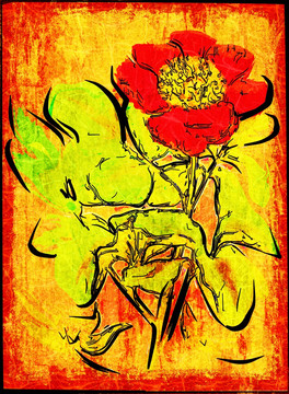 花卉