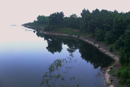 河边景色 沈阳浑河 轻雾 碧绿