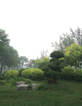 雨天天津北宁公园草坪盆景树