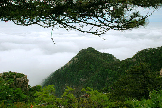 泰山   云海  泰山云海