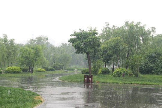 雨天北宁公园绿地道路