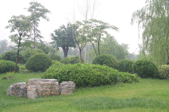 雨天北宁公园绿地树木
